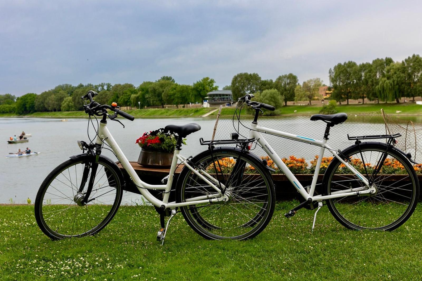 Kisviza Vendeghaz Hotell Baja Exteriör bild